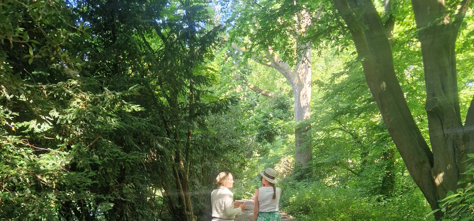 Therapie in de natuur - wandelen en praten